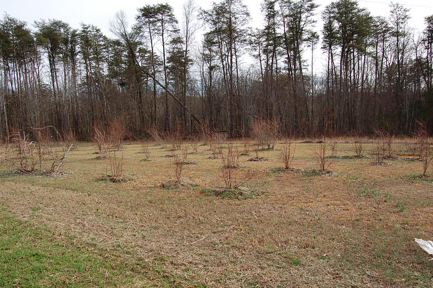678 Wheeler Road Dunlap, TN 37327 - Photo 25 of 55 1311910 - 678 Wheeler Rd 025