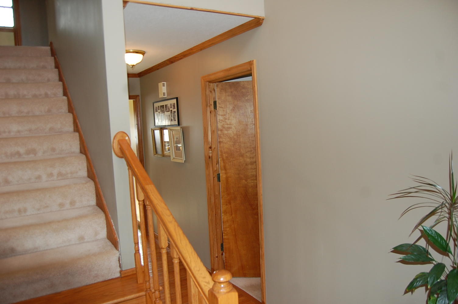 678 Wheeler Road Dunlap, TN 37327 - Photo 30 of 55 1311910 - 678 Wheeler Rd 030