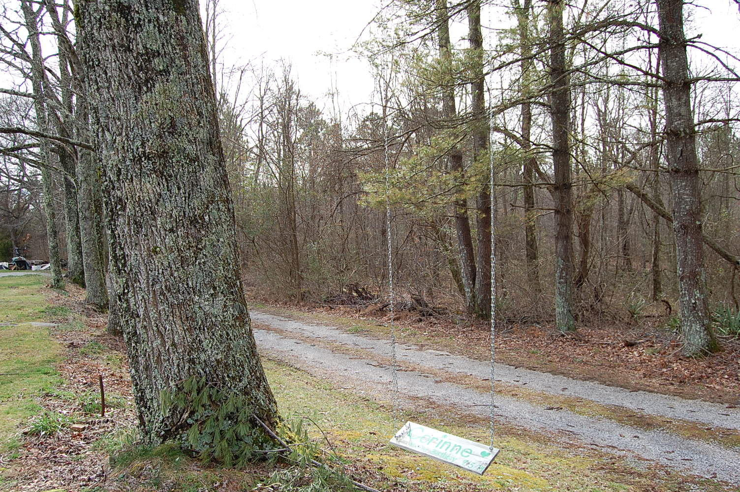 678 Wheeler Road Dunlap, TN 37327 - Photo 6 of 55 1311910 - 678 Wheeler Rd 006