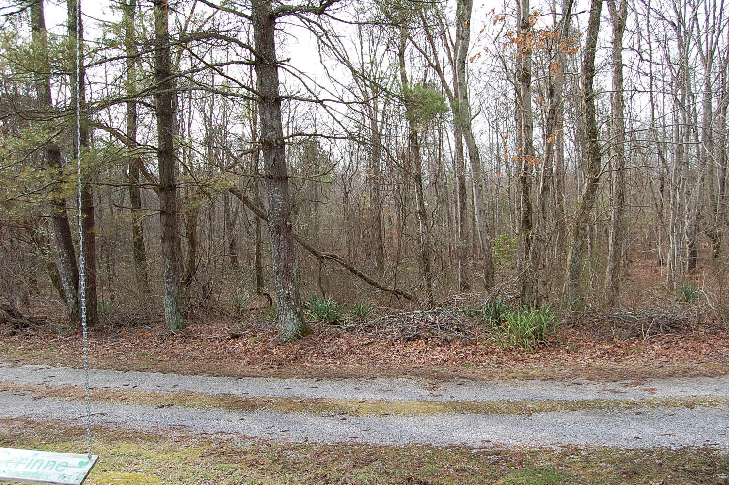 678 Wheeler Road Dunlap, TN 37327 - Photo 7 of 55 1311910 - 678 Wheeler Rd 007