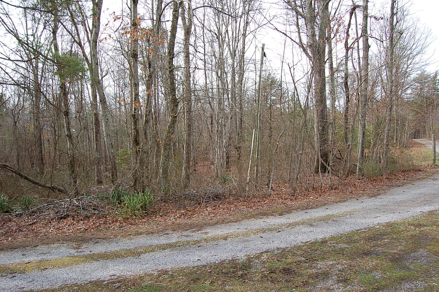 678 Wheeler Road Dunlap, TN 37327 - Photo 8 of 55 1311910 - 678 Wheeler Rd 008