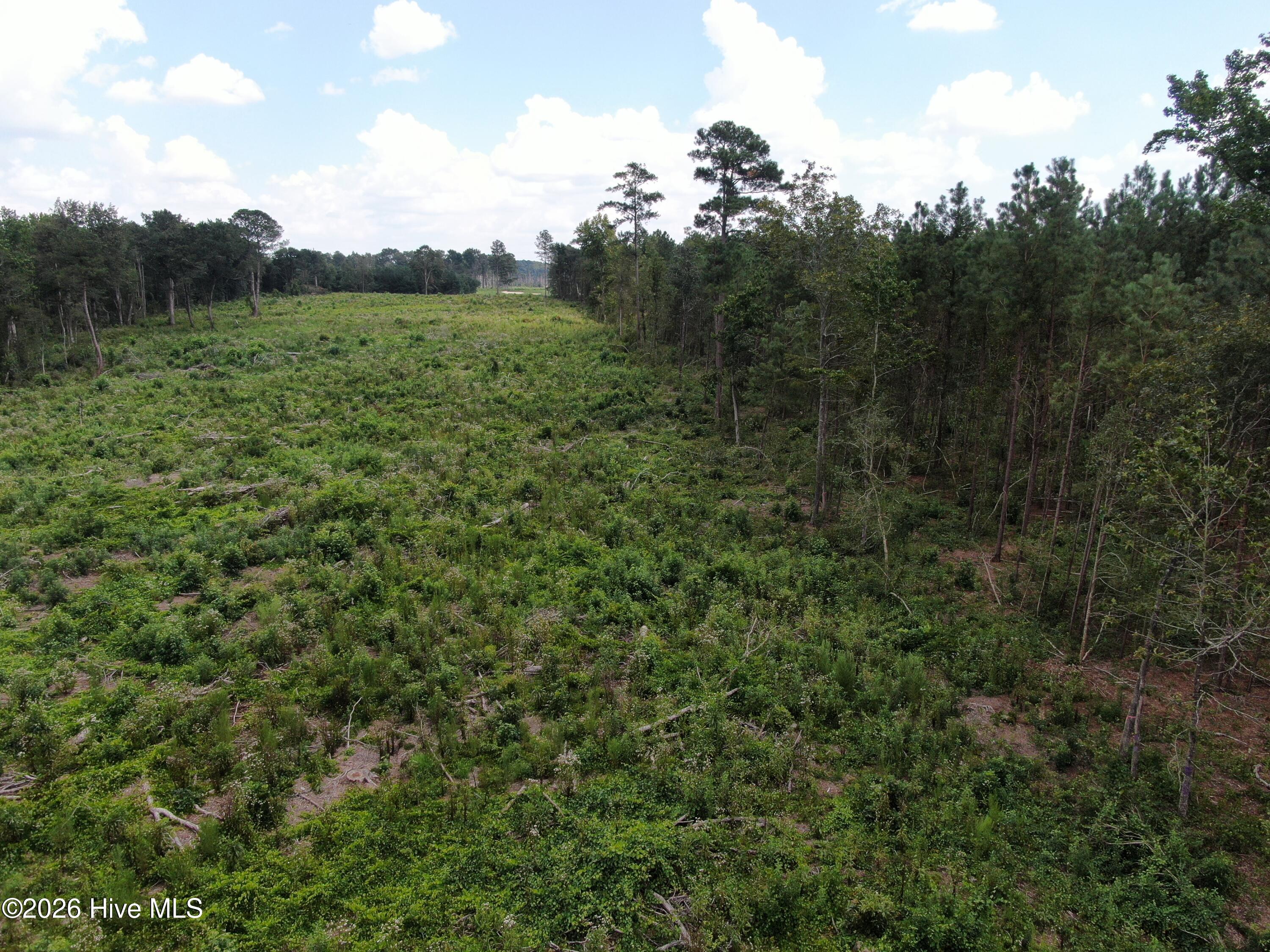 Tbd Johns Mill Road Maxton, NC 28364 - Photo 18 of 28 Gallery Image 18