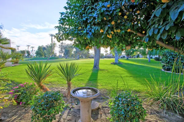 a view of a garden with plants