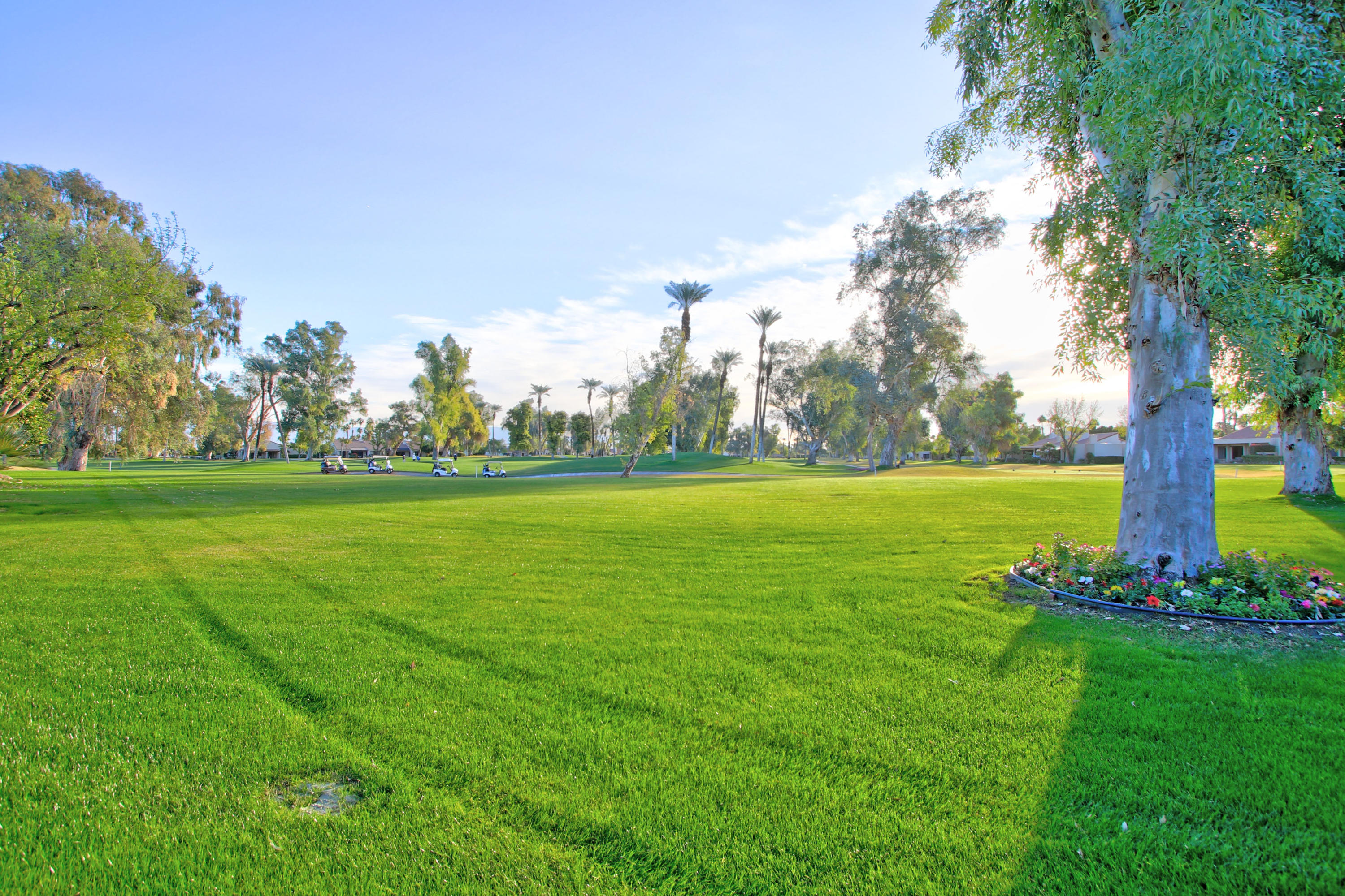 913 Inverness Drive Rancho Mirage, CA 92270 - Photo 45 of 52 a view of a park with large trees