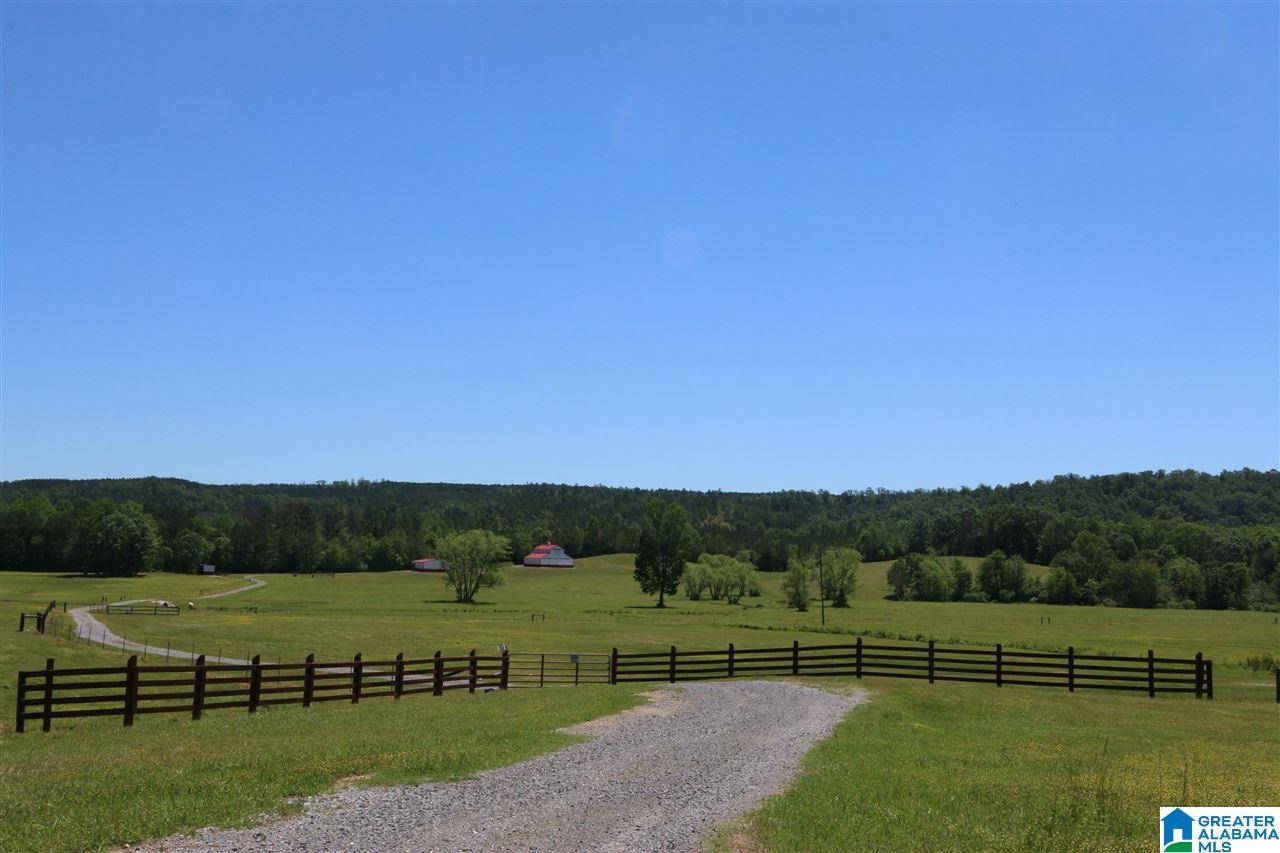 0 Pleasant Hills Road, Unit 40 Odenville, AL 35120 - Photo 47 of 48