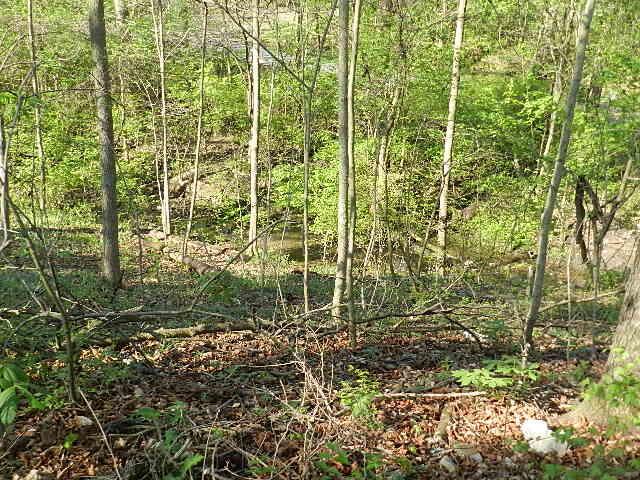 2647 Ferris Road Columbus, OH 43224 - Photo 3 of 30 Stream on lot