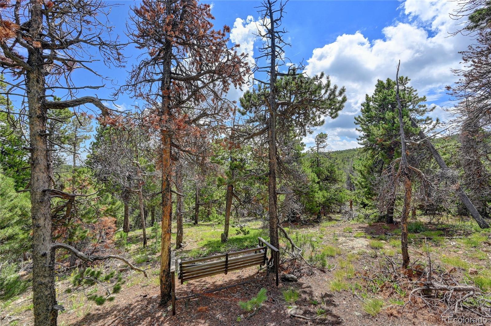 932 Rudi Lane Golden, CO 80403 - Photo 26 of 28 Gallery Image 26