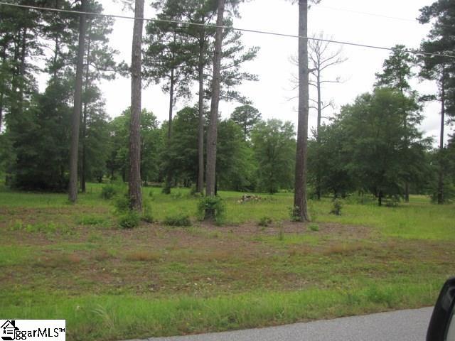 210 Nash Mill Road Fountain Inn, SC 29644 - Photo 1 of 4