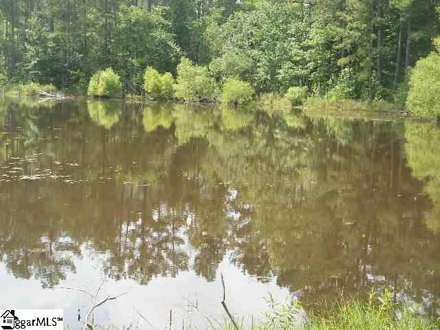 210 Nash Mill Road Fountain Inn, SC 29644 - Photo 2 of 4