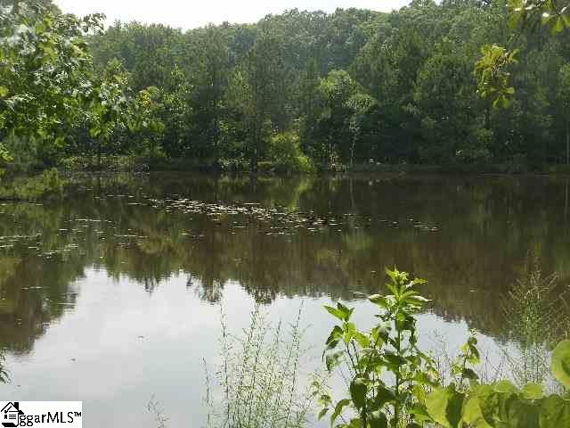 210 Nash Mill Road Fountain Inn, SC 29644 - Photo 3 of 4
