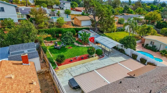 a view of a bird of a tree