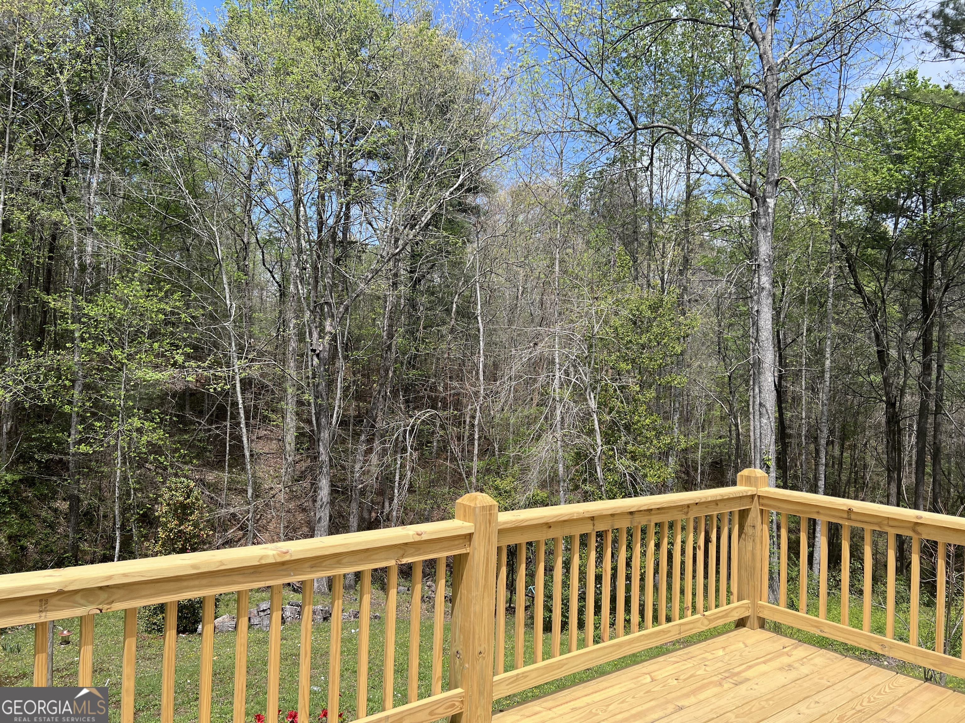 569 Dover Chapel Road Ellijay, GA 30540 - Photo 24 of 28