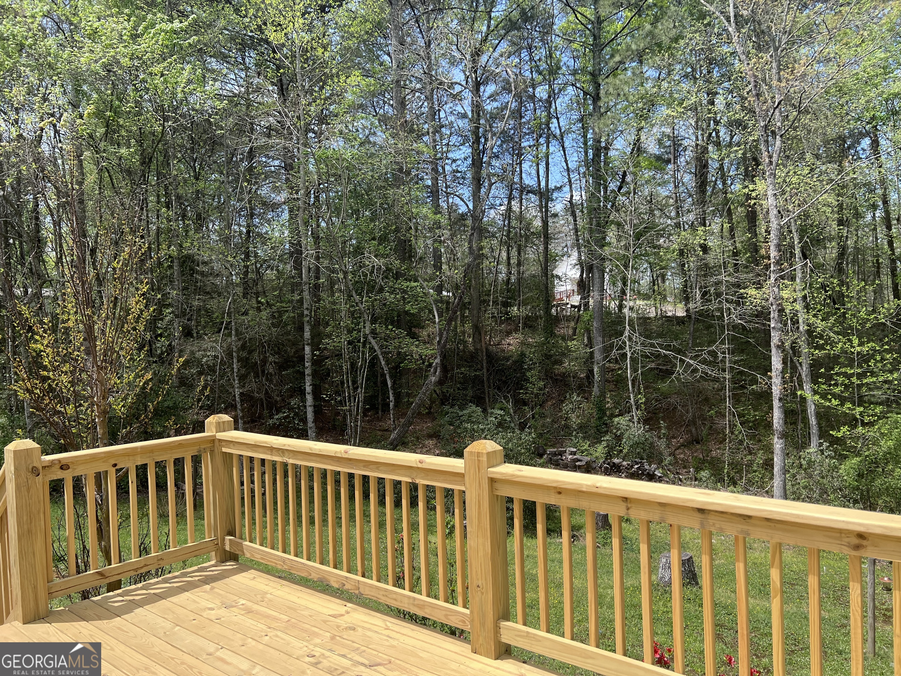 569 Dover Chapel Road Ellijay, GA 30540 - Photo 25 of 28