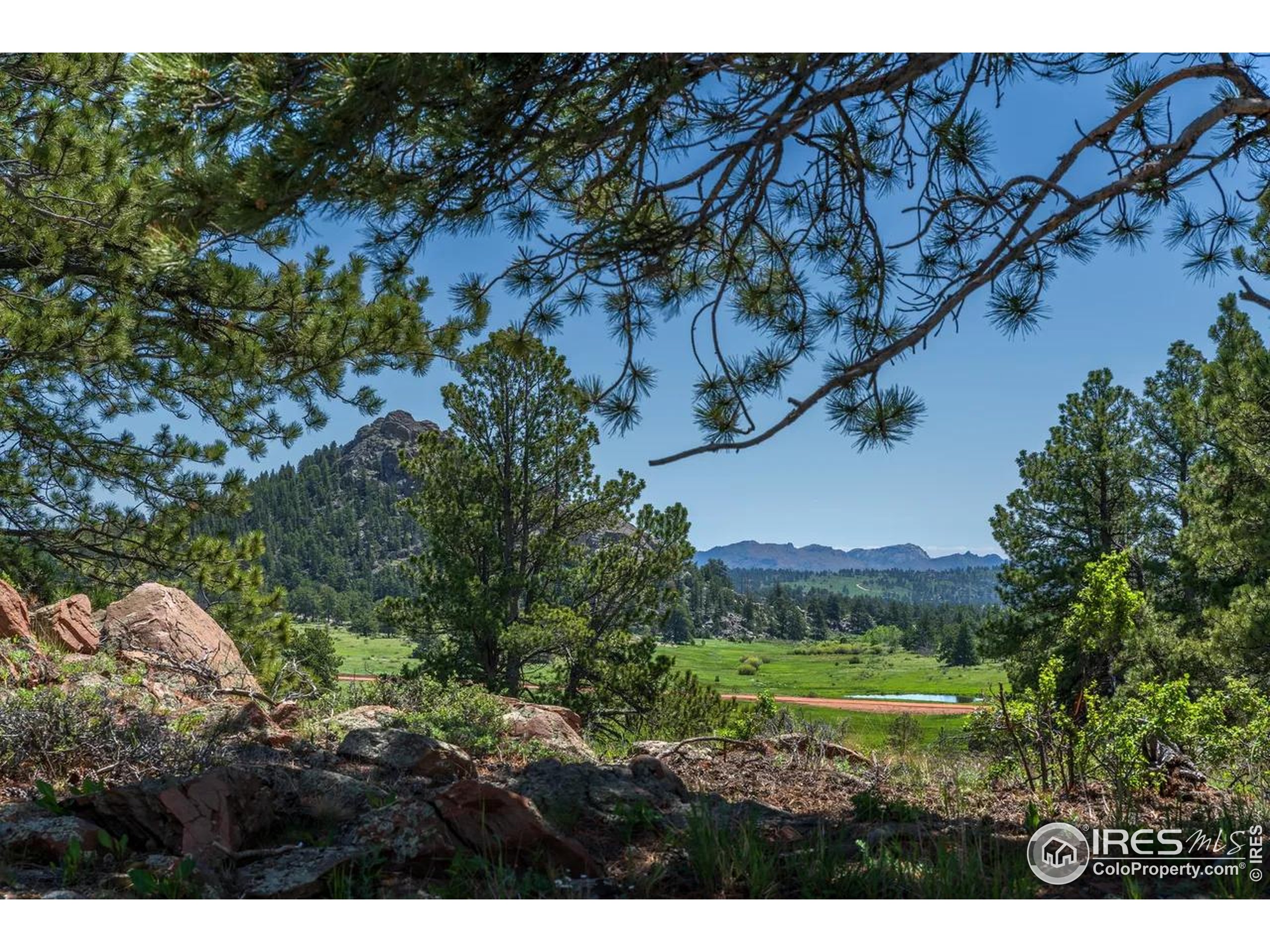 Mountain Pony Road Livermore, CO 80536 - Photo 1 of 11 a view of a and yard