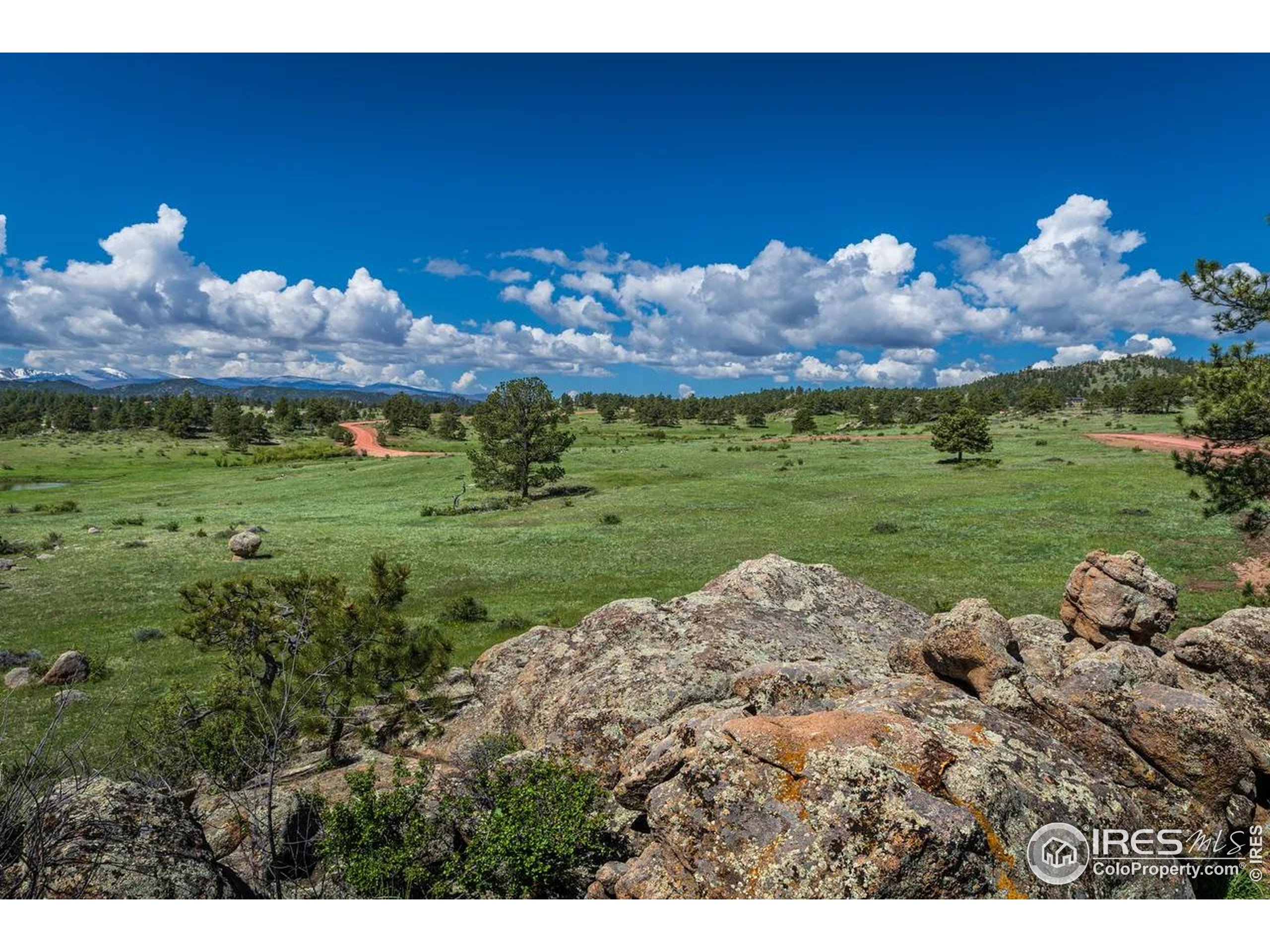 Mountain Pony Road Livermore, CO 80536 - Photo 11 of 11 a view of a golf course with a yard