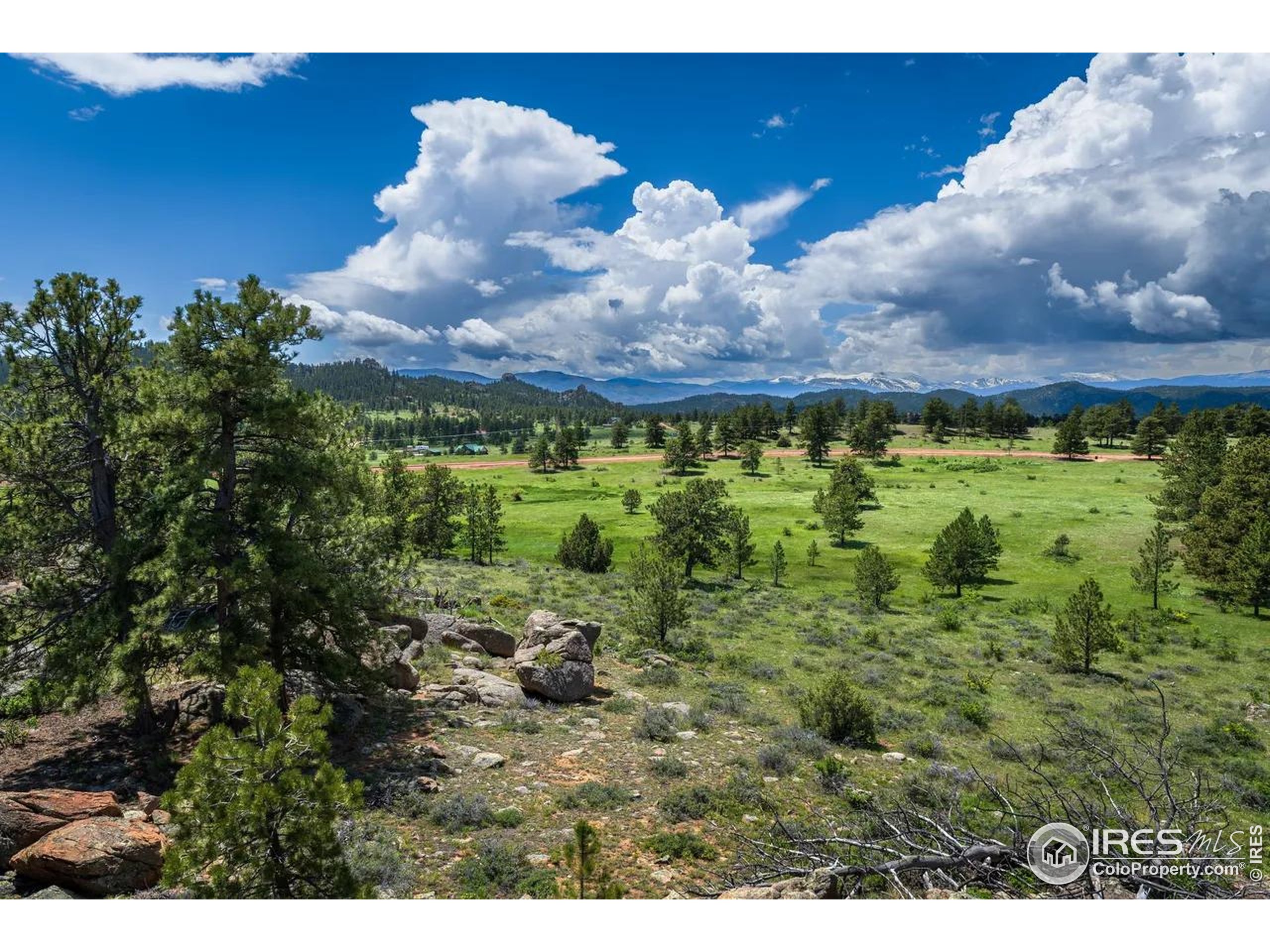 Mountain Pony Road Livermore, CO 80536 - Photo 7 of 11 a view of a yard
