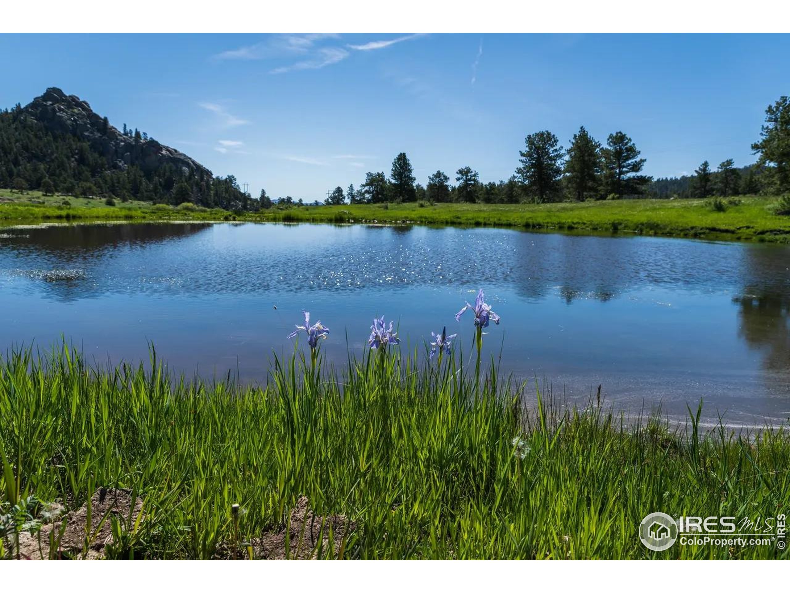 Mountain Pony Road Livermore, CO 80536 - Photo 8 of 11 a view of a lake with houses in the back