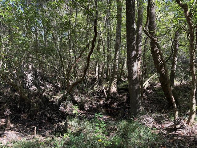 0 Rayford Shumock Road Moss Point, MS 39562 - Photo 10 of 40 Gallery Image 10