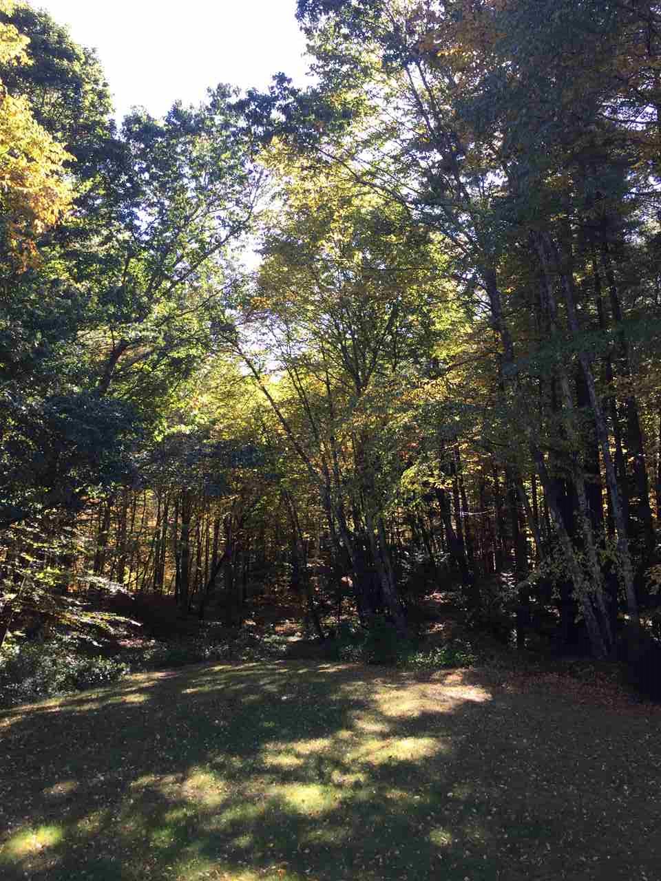 10 Linebrook Road Atkinson, NH 03811 - Photo 19 of 21 Gallery Image 19