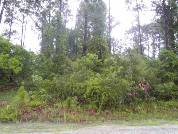 2446 Southwest Harbison Palm Bay, FL 32908 - Photo 1 of 2 Primary Photo