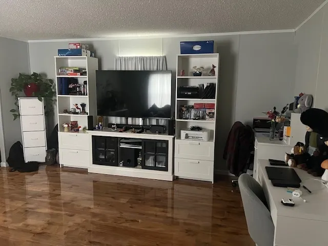 a room with furniture and a flat screen tv