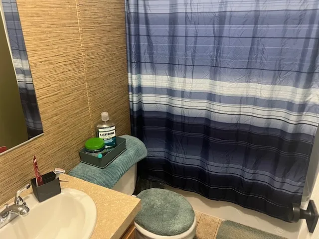 a bathroom with a sink a toilet and shower