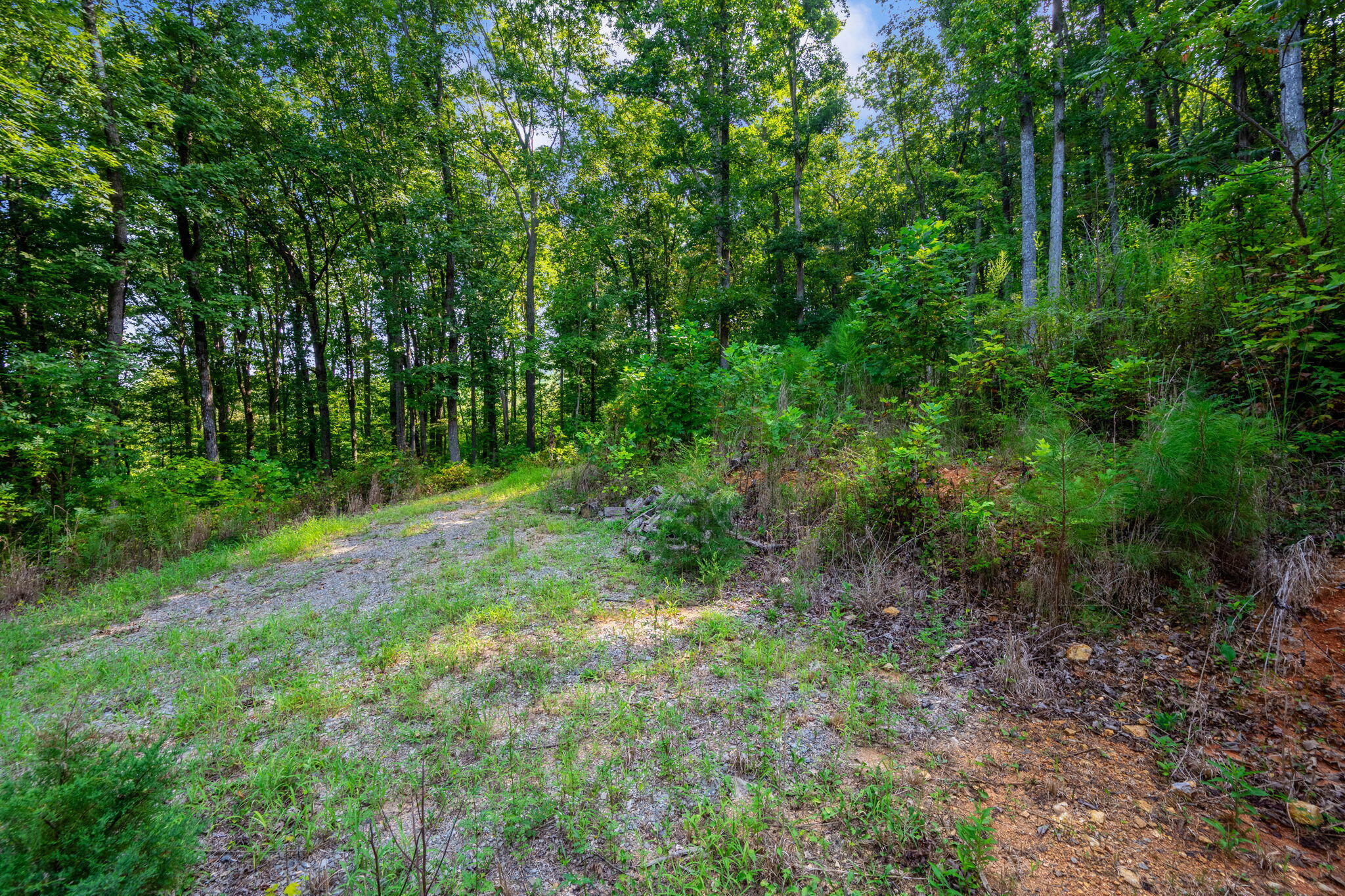 805 Lead Mine Valley Road Southwest Cleveland, TN 37311 - Photo 30 of 36 39-web-or-mls-DSC_3896