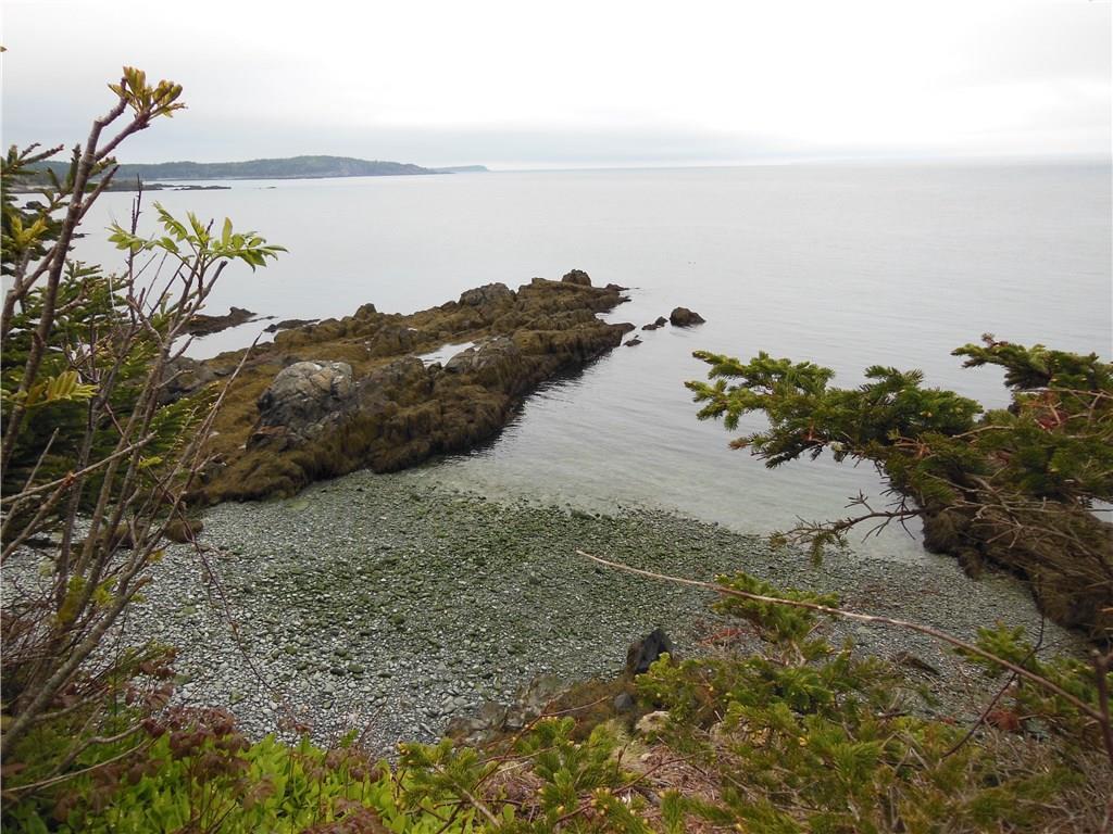 Lot 87.8 Shag Rock Road Lubec, ME 04652 - Photo 29 of 31 Looking down at the beach from the...