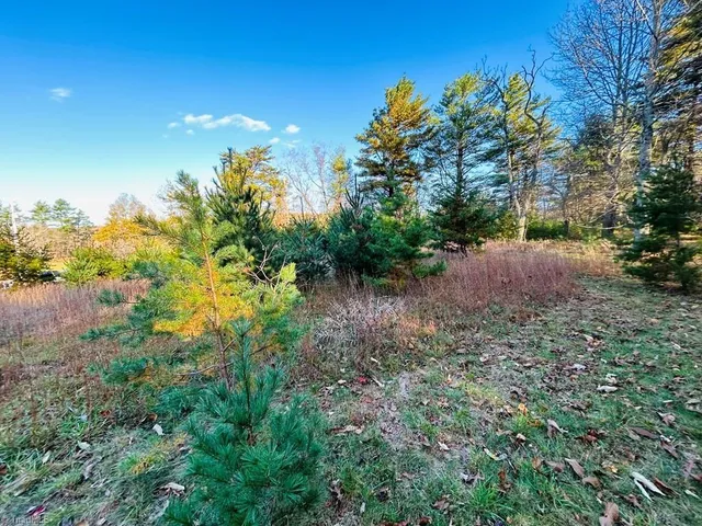 $27,500 | Tbd Overlook Lane, Galax, VA 24333