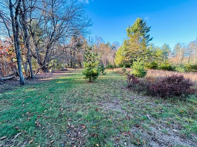 $27,500 | Tbd Overlook Lane, Galax, VA 24333