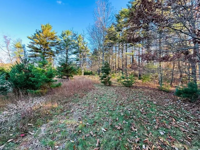 $27,500 | Tbd Overlook Lane, Galax, VA 24333