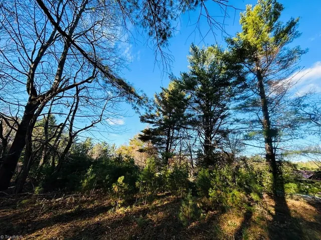 $27,500 | Tbd Overlook Lane, Galax, VA 24333