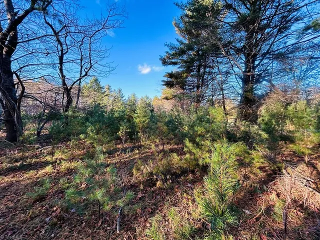$27,500 | Tbd Overlook Lane, Galax, VA 24333