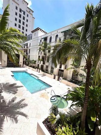 a view of a palm trees
