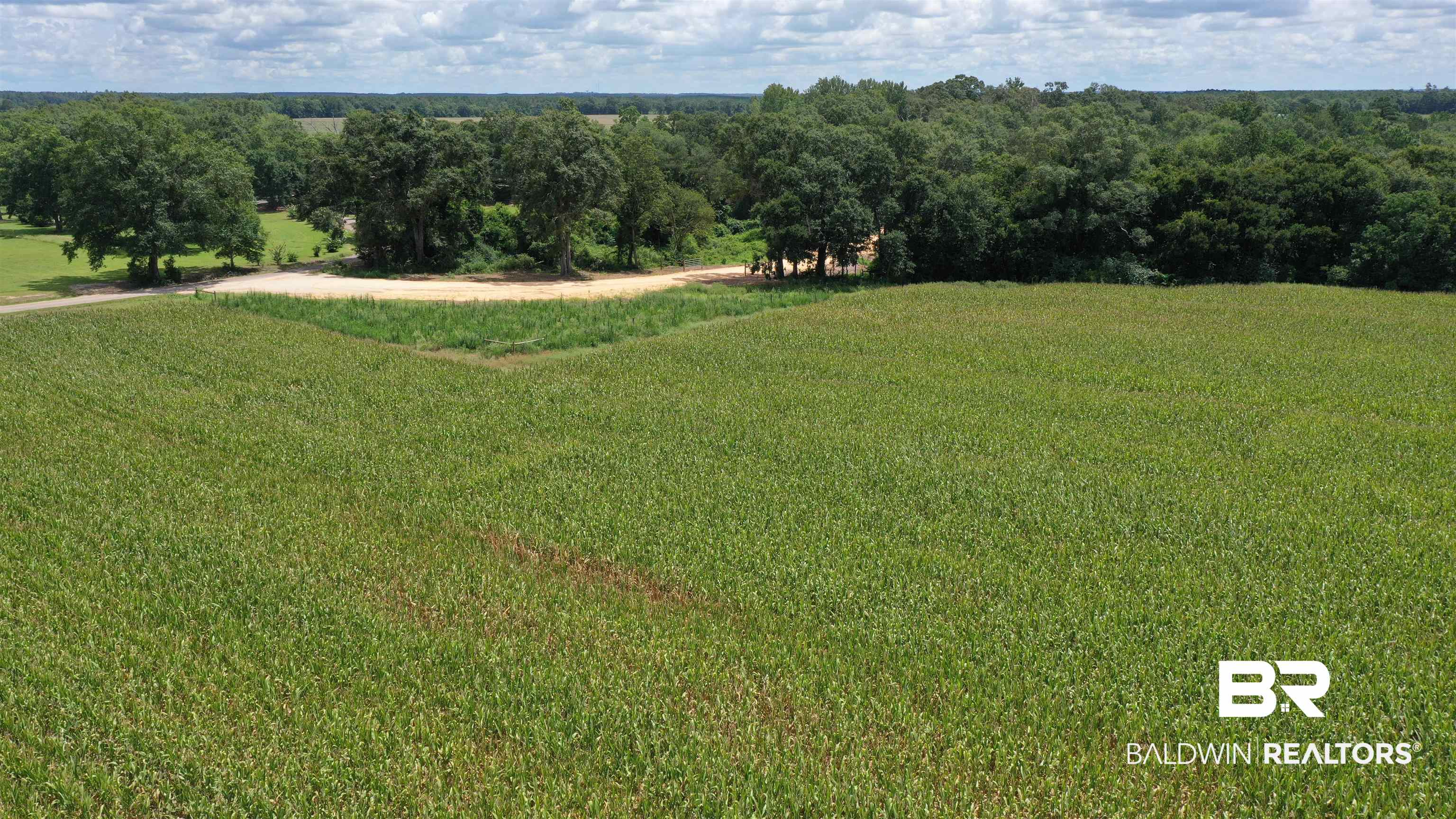 3 Highway 21 Atmore, AL 36502 - Photo 15 of 18 Exterior space with a rural view