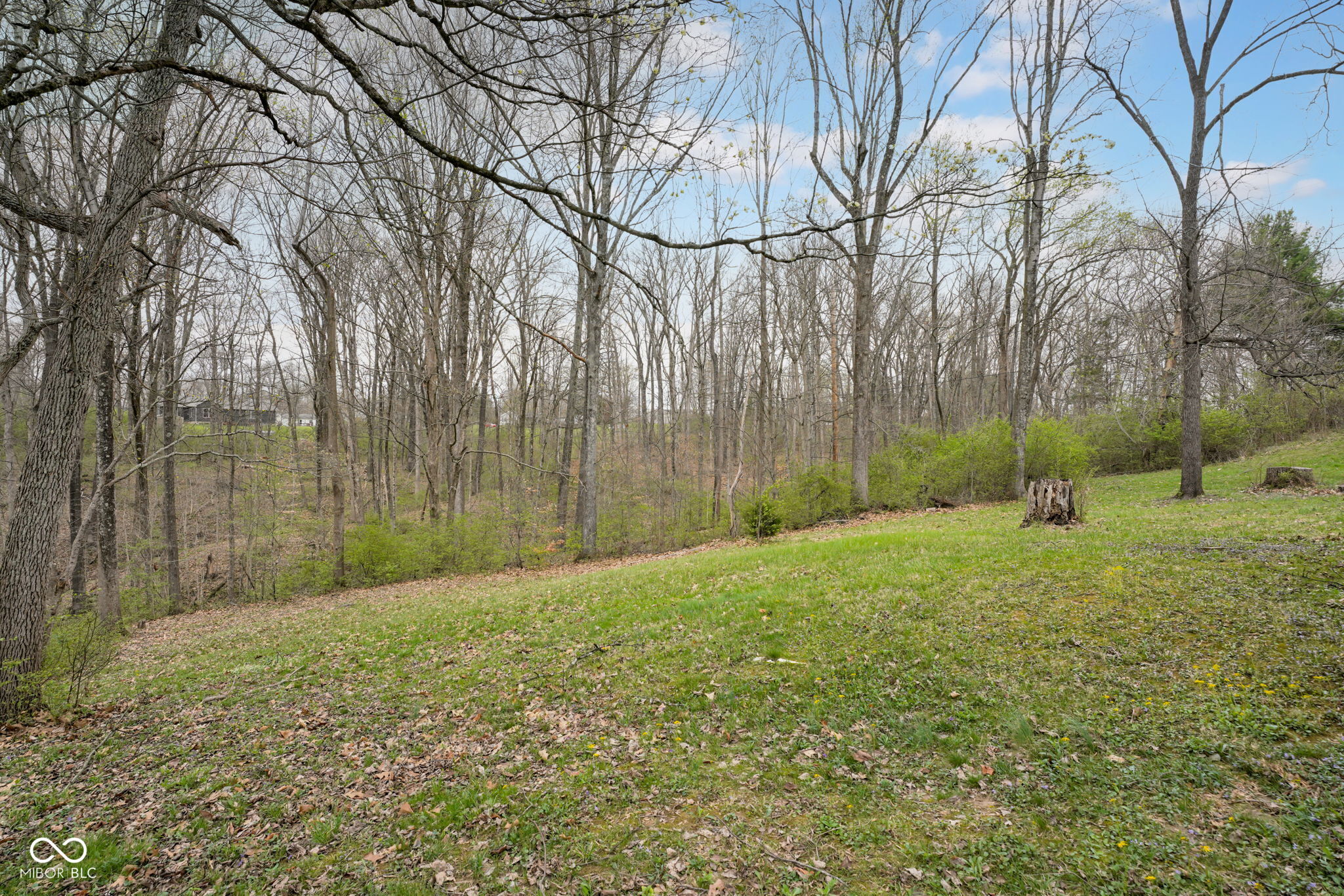 8488 Riser Drive Nineveh, IN 46164 - Photo 14 of 17