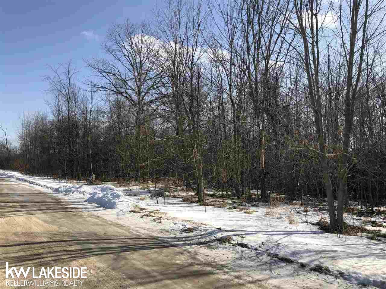 0 Dayton Road Richmond, MI 48062 - Photo 3 of 6 Gallery Image 3