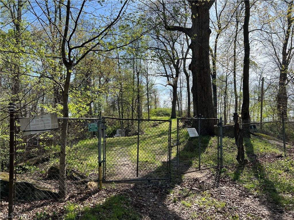 Boone Road Kimbolton, OH 43749 - Photo 11 of 30