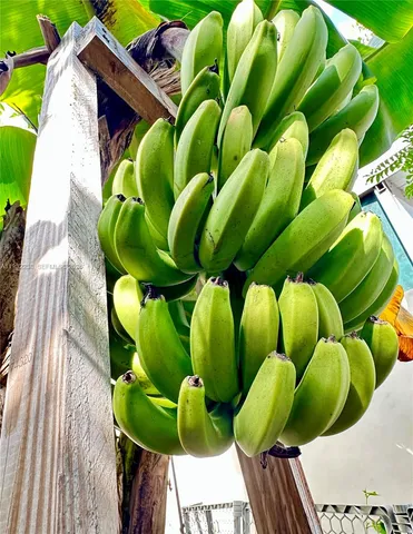 $479,900 | 11117 Southwest 122nd Court, Miami, FL 33186