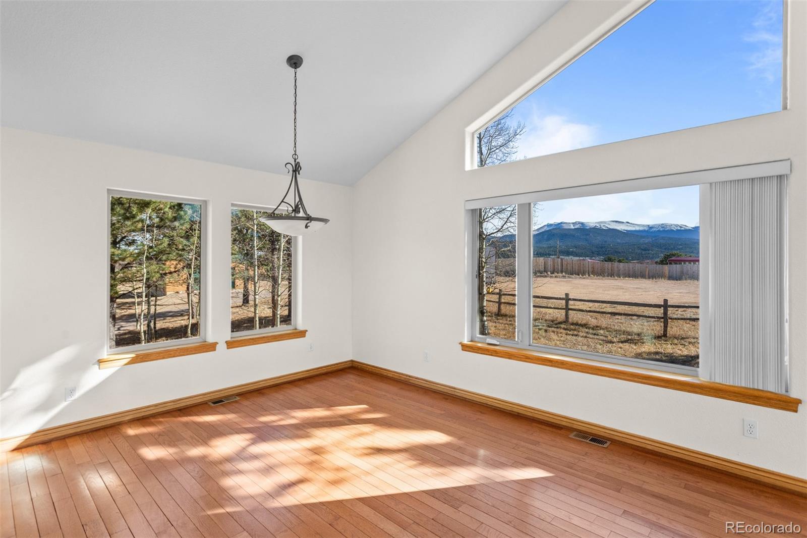 162 Ridge Top Drive Divide, CO 80814 - Photo 14 of 50