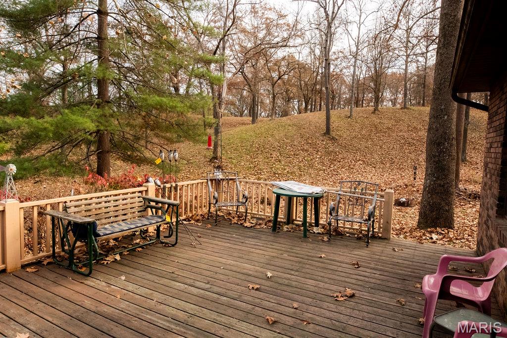 3411 Brown Road Brighton, IL 62012 - Photo 28 of 36