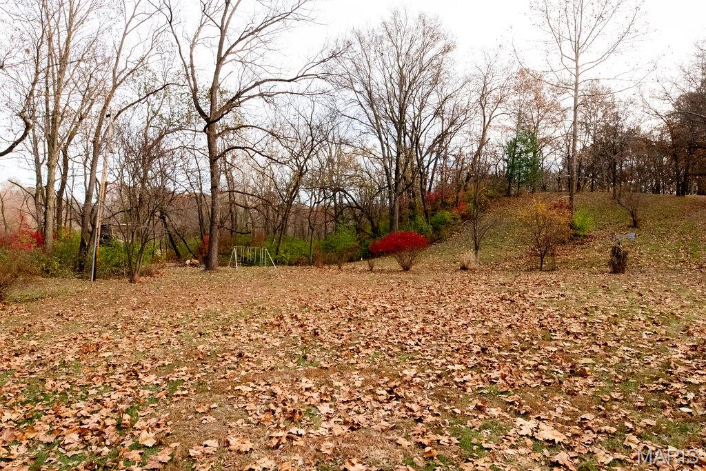 3411 Brown Road Brighton, IL 62012 - Photo 29 of 36