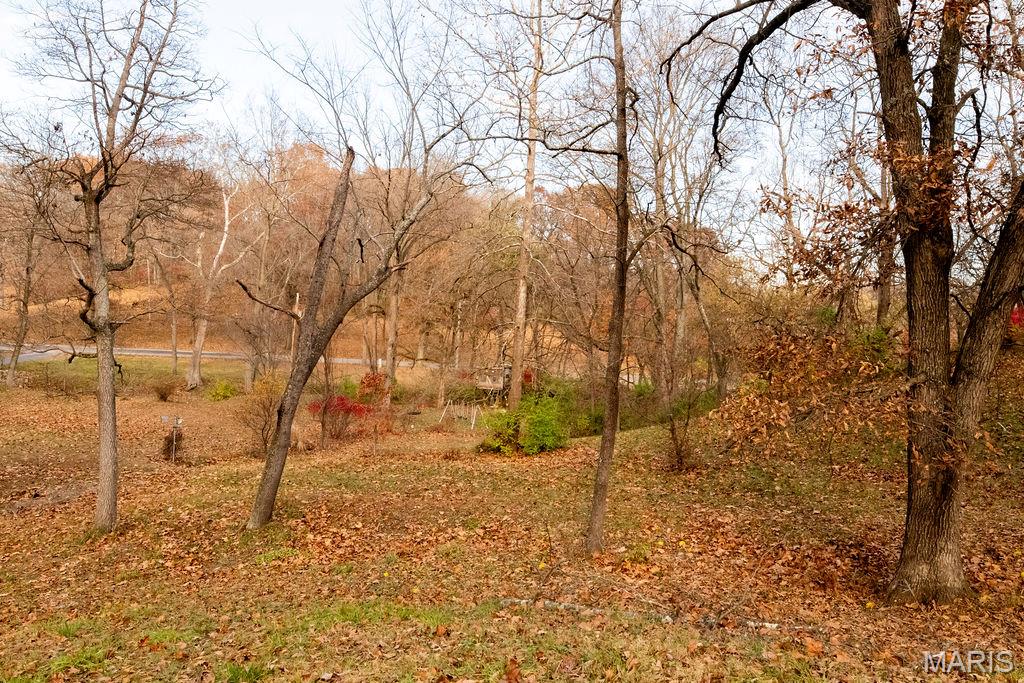 3411 Brown Road Brighton, IL 62012 - Photo 31 of 36