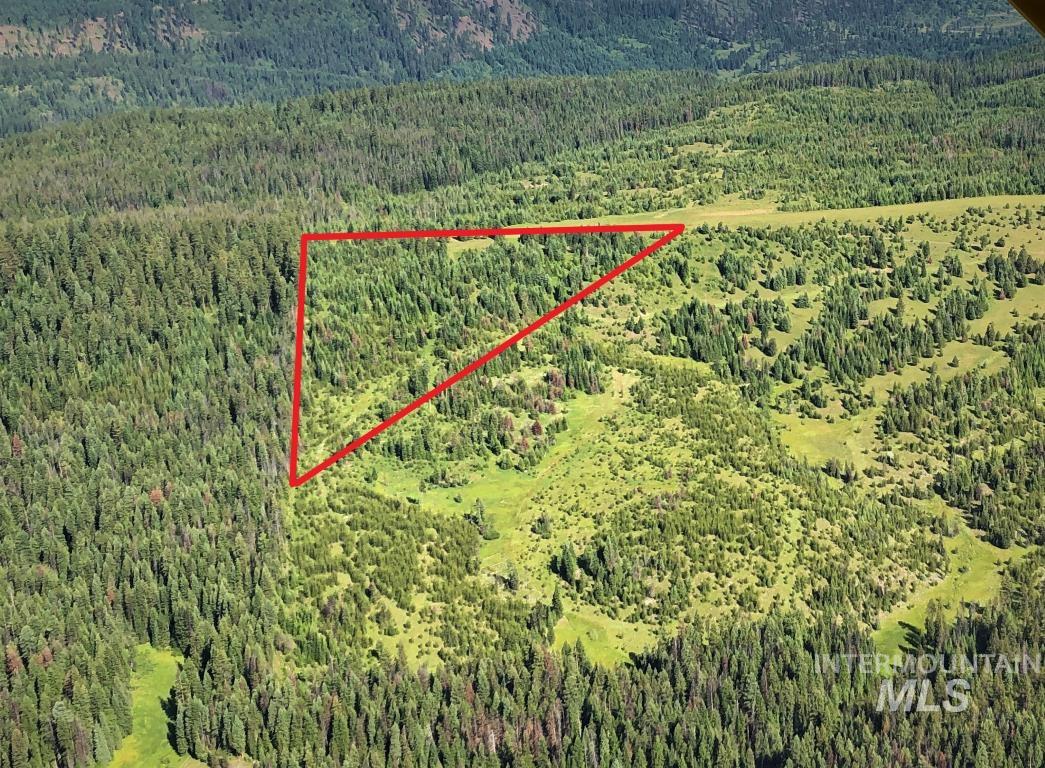 5 Hungry Ridge Road Grangeville, ID 83530 - Photo 11 of 24