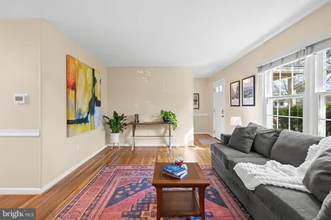 a living room with furniture a rug a potted plant and a large window