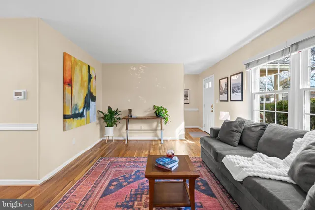 a living room with furniture a rug a potted plant and a large window