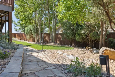 a view of a yard with plants