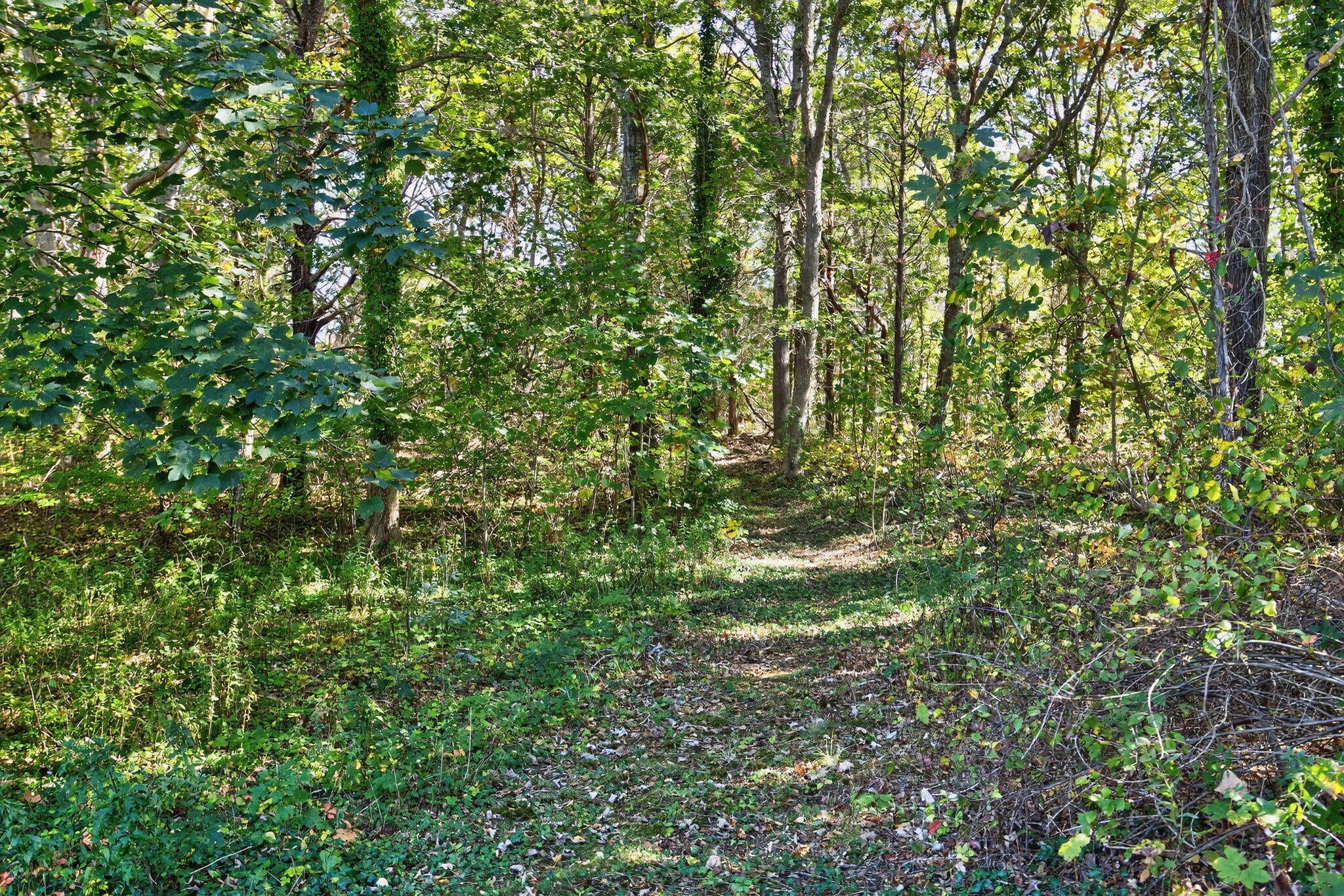 343 Tonset Road Orleans, MA 02653 - Photo 49 of 68 343 Tonset Road Orleans MA