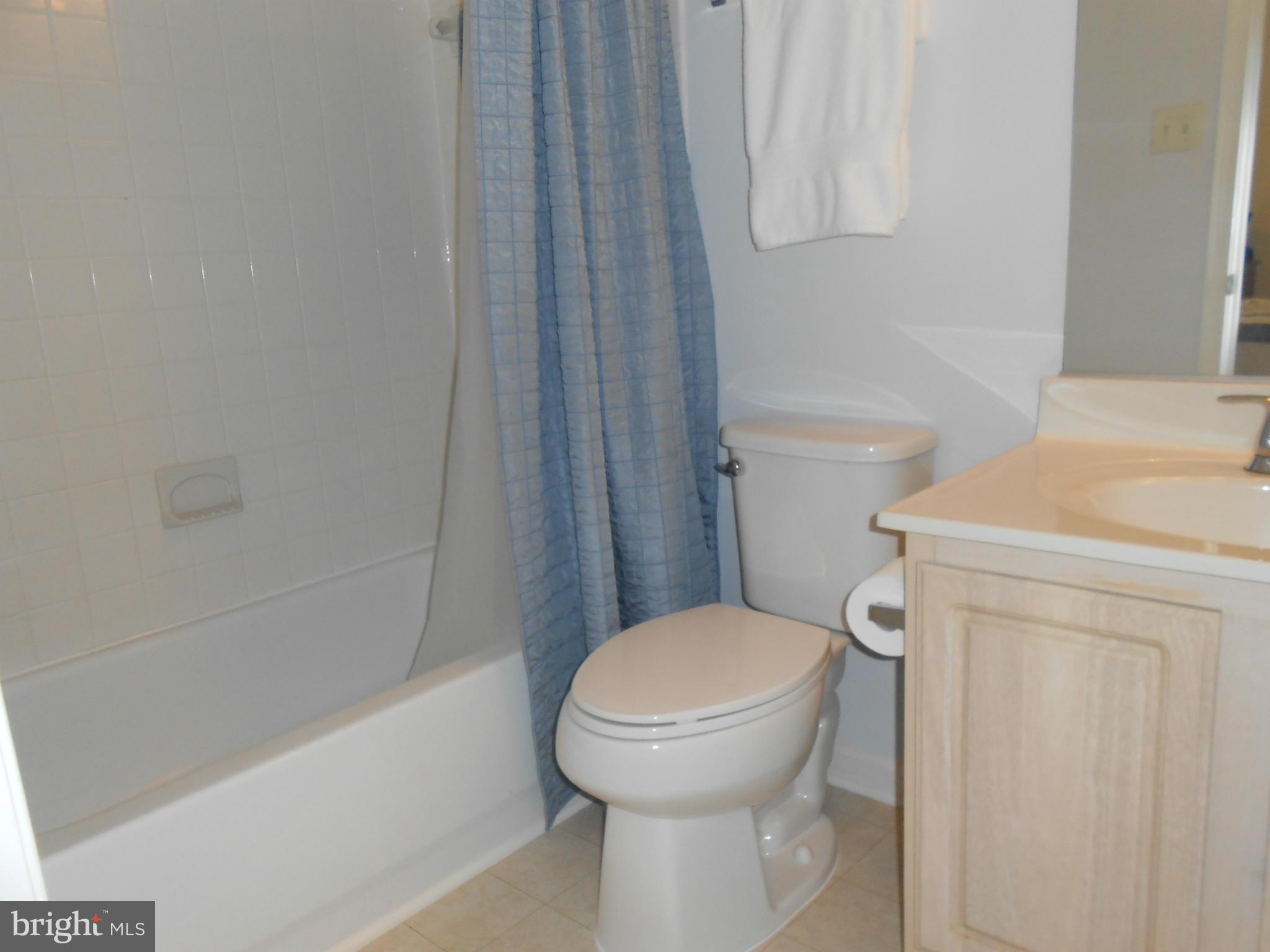 774 Shallow Ridge Court Abingdon, MD 21009 - Photo 11 of 24 Bath (Master)