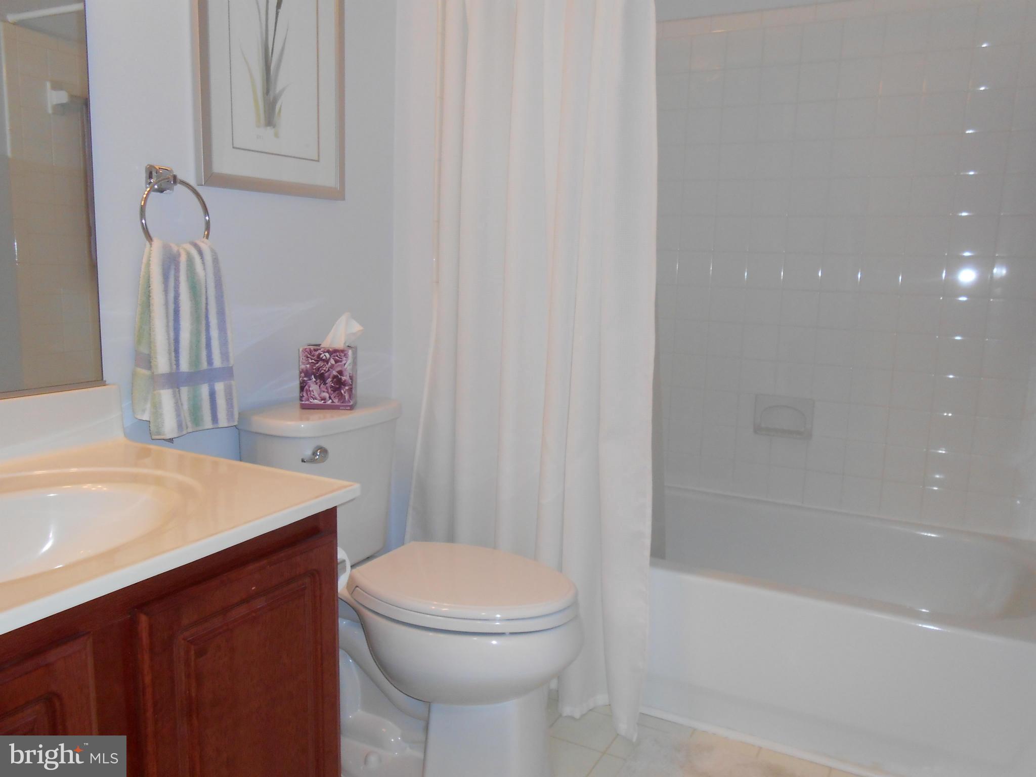 774 Shallow Ridge Court Abingdon, MD 21009 - Photo 14 of 24 Bath